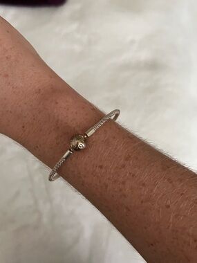 Pandora Charm Bracelet